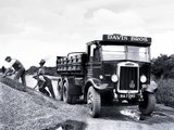 Leyland Hippo TSW3 1934–44 wallpapers