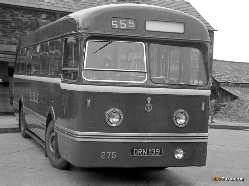 Leyland Olympic HR44 (B44F) 1951– photos (800 x 600)