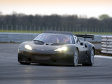 Lotus Evora GTE Race Car 2011 photos