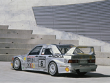 AMG 190 E 2.5-16 Evolution II DTM Berlin 2000 (W201) 1993–94 pictures