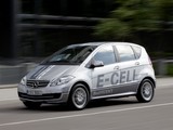Images of Mercedes-Benz A-Klasse E-Cell (W169) 2010