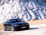 WALD Mercedes-Benz CL60 (C215) 1999–2002 photos