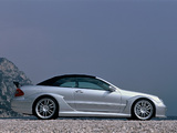 Pictures of Mercedes-Benz CLK AMG DTM Cabrio (A209) 2006