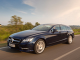 Pictures of Mercedes-Benz CLS 500 Shooting Brake (X218) 2012