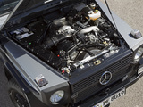 Images of Mercedes-Benz G 300 CDI Professional (W461) 2010