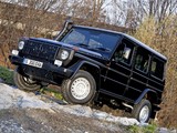 Mercedes-Benz G 300 CDI Professional (W461) 2010 pictures