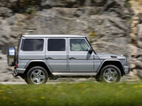 Mercedes-Benz G 65 AMG (W463) 2012 pictures