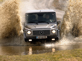 Pictures of Mercedes-Benz G 270 CDI (W463) 2002–06