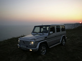 Pictures of Mercedes-Benz G 500 (W463) 2006–08
