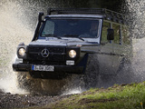 Pictures of Mercedes-Benz G 300 CDI Professional (W461) 2010