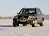 Mercedes-Benz GLK 320 CDI Off-road Package (X204) 2008–12 photos