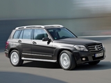 Photos of Mercedes-Benz GLK 220 CDI BlueEfficiency (X204) 2009–12