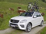 Pictures of Mercedes-Benz ML 250 BlueTec AMG Sports Package (W166) 2011