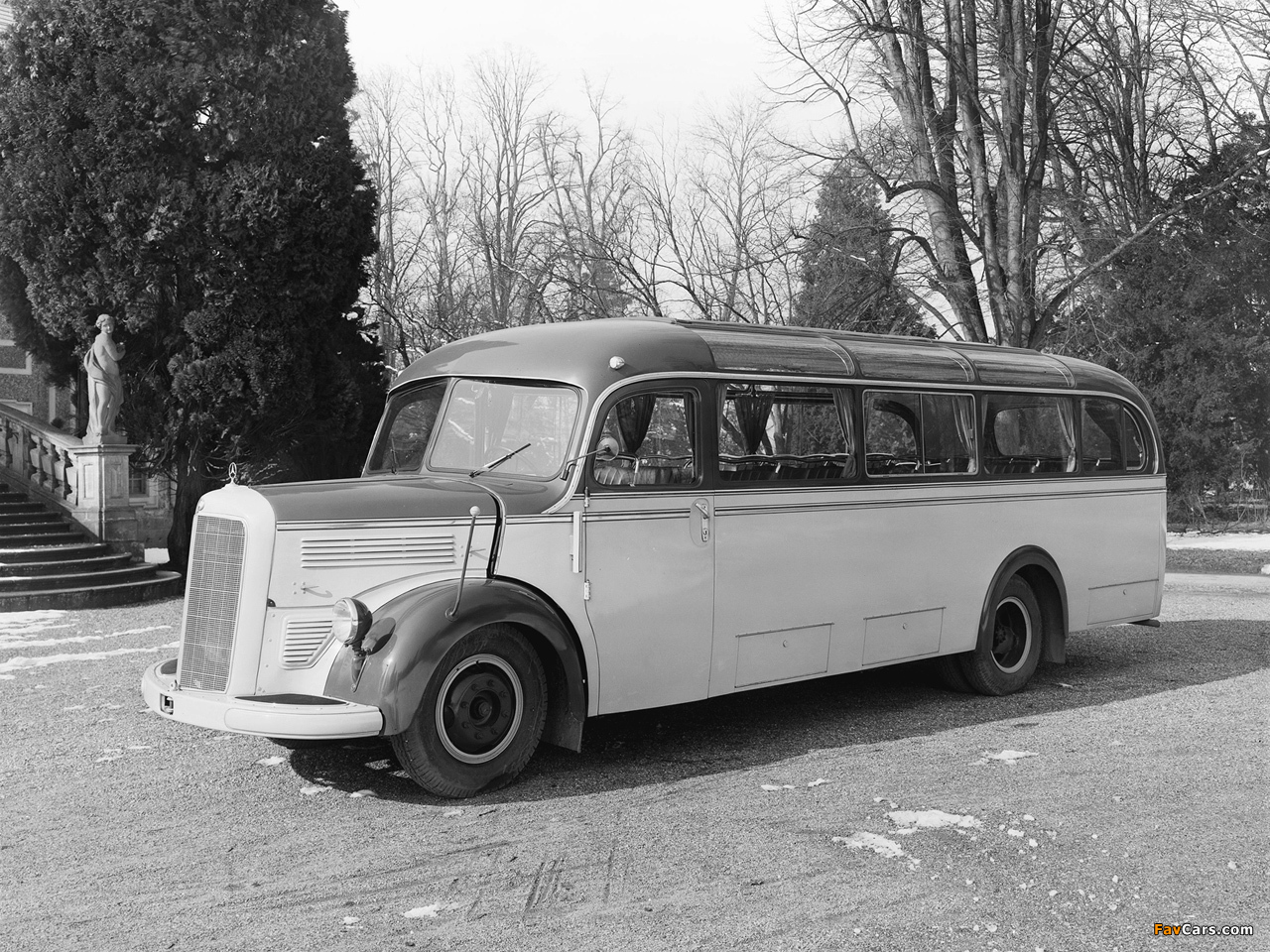 Photos of Mercedes-Benz O3500 1949–55 (1280 x 960)