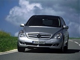 Images of Mercedes-Benz R 280 CDI 4MATIC (W251) 2005–10