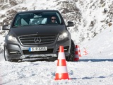Images of Mercedes-Benz R 350 4MATIC (W251) 2010