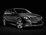 Mercedes-Benz R 350 (W251) 2010 pictures