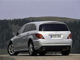 Pictures of Mercedes-Benz R 500 (W251) 2005–10