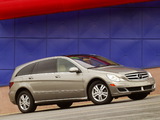 Pictures of Mercedes-Benz R 500 US-spec (W251) 2005–10