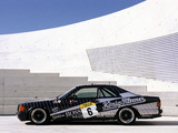 Pictures of AMG 500 SEC Race Car (C126) 1989