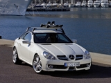 Images of Mercedes-Benz SLK 350 (R171) 2008–11