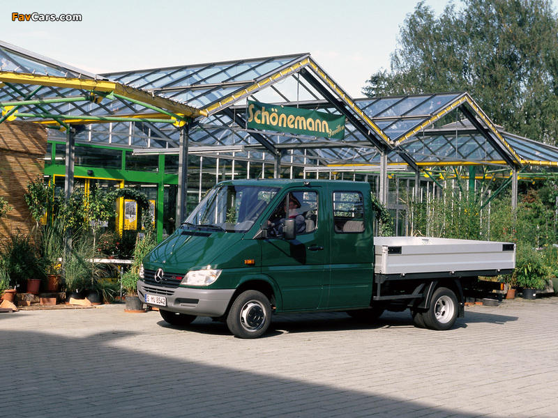 Mercedes-Benz Sprinter Double Cab Pickup 2000–06 pictures (800 x 600)