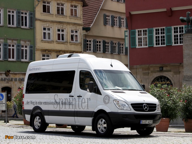 Mercedes-Benz Sprinter BlueEfficiency (W906) 2009–13 images (640 x 480)