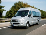 Pictures of Mercedes-Benz Sprinter Travel 55 (W906) 2006–13