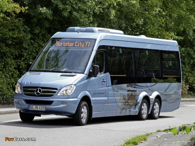 Pictures of Mercedes-Benz Sprinter City 77 (W906) 2010–13 (640 x 480)
