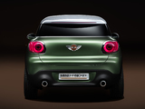 Pictures of MINI Paceman Concept (R61) 2011