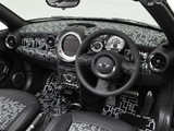 MINI Cooper S Roadster Hotei (R59) 2012 pictures