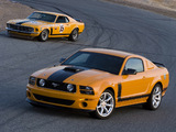 Mustang images