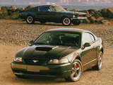 Mustang photos