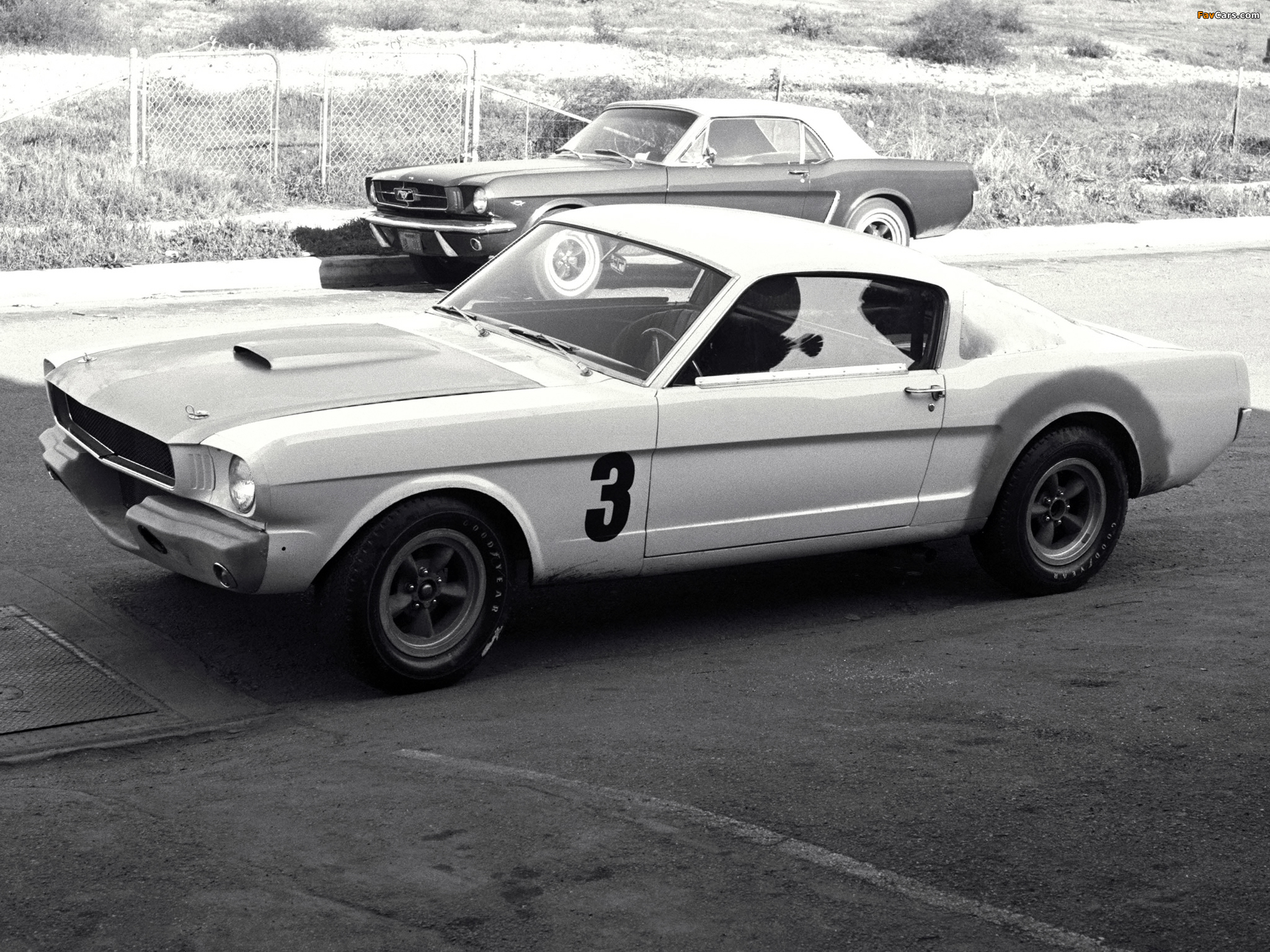 Images of Mustang MkI 1963–73 (2048 x 1536)