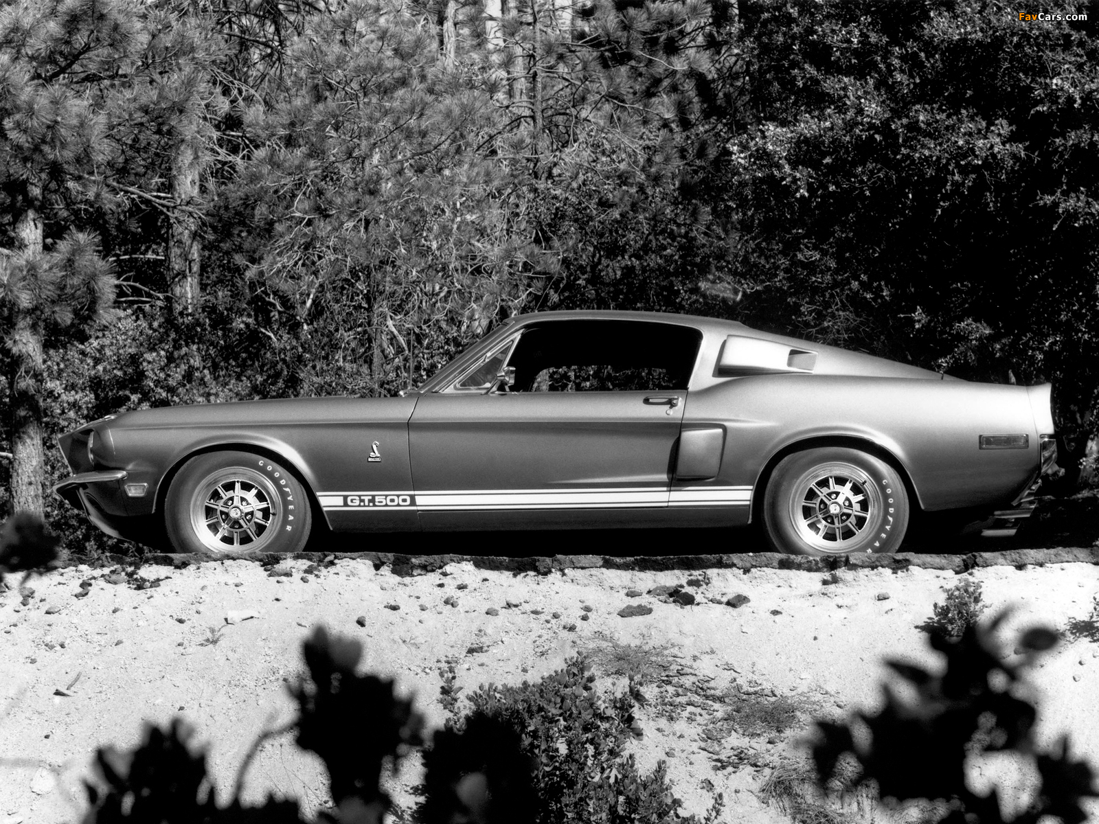 Images of Shelby GT500 1968 (1600 x 1200)