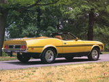 Images of Mustang Convertible 1973