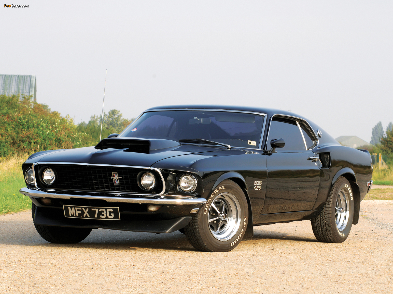 1969 Ford Mustang Boss 429: A Profile of a Muscle Car ...