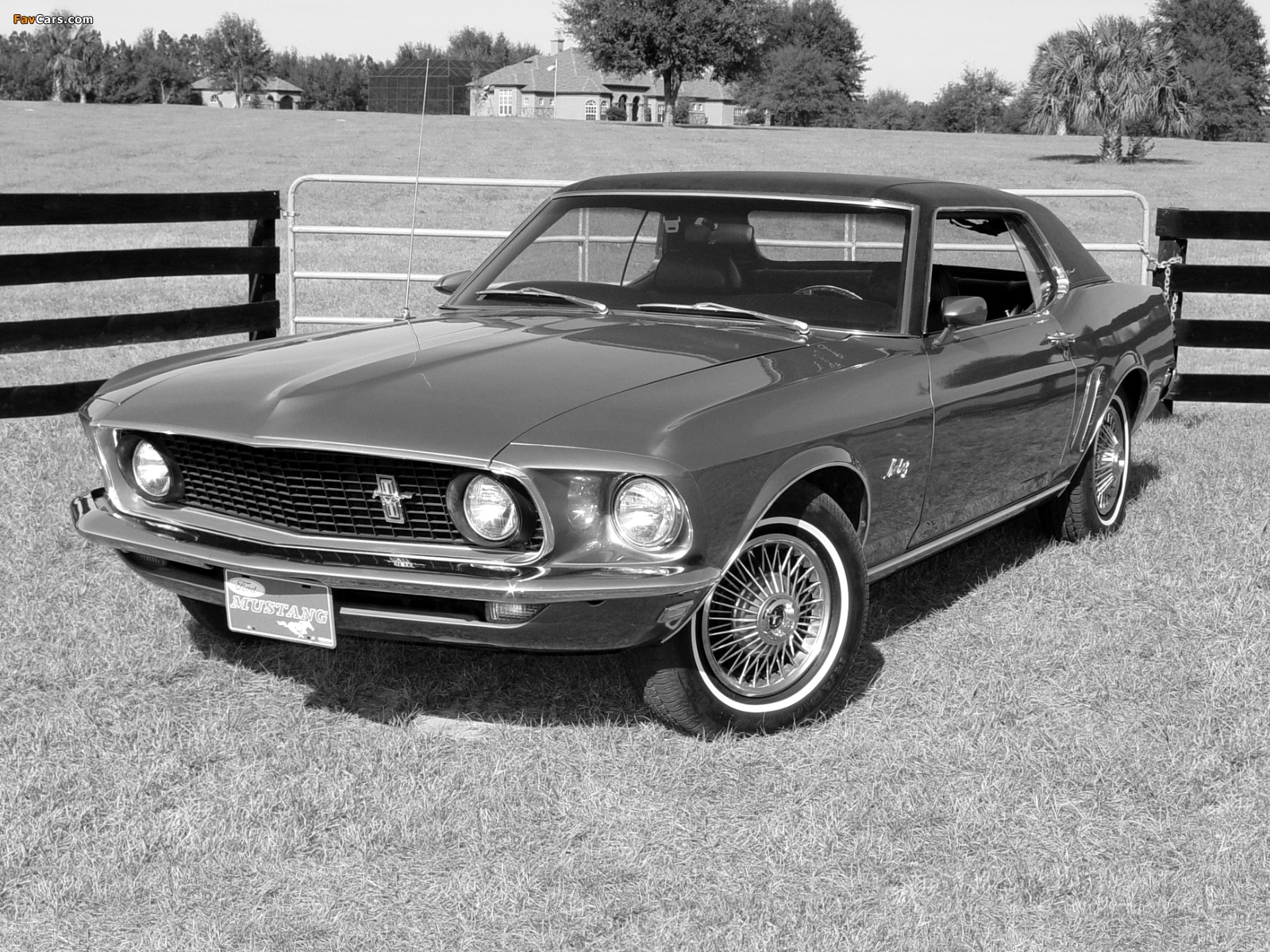 Mustang Coupe 1969 wallpapers. 