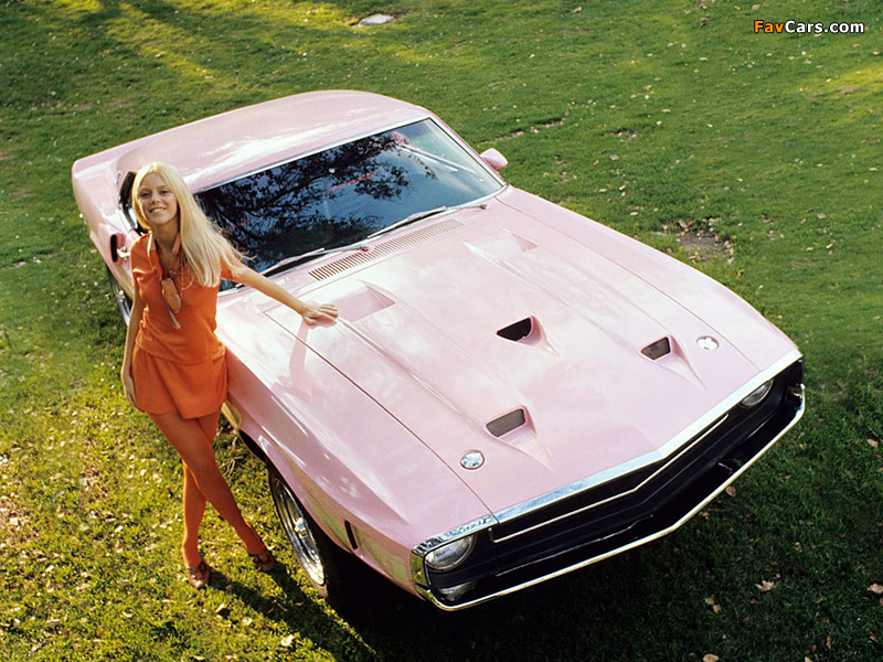 Shelby GT500 Playmate Pink 1969 wallpapers (800 x 600)