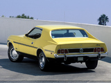 Mustang Coupe 1973 images