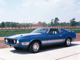 Mustang Mach 1 1973 photos