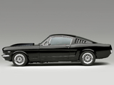 Mustang Fastback Concept 2003 images