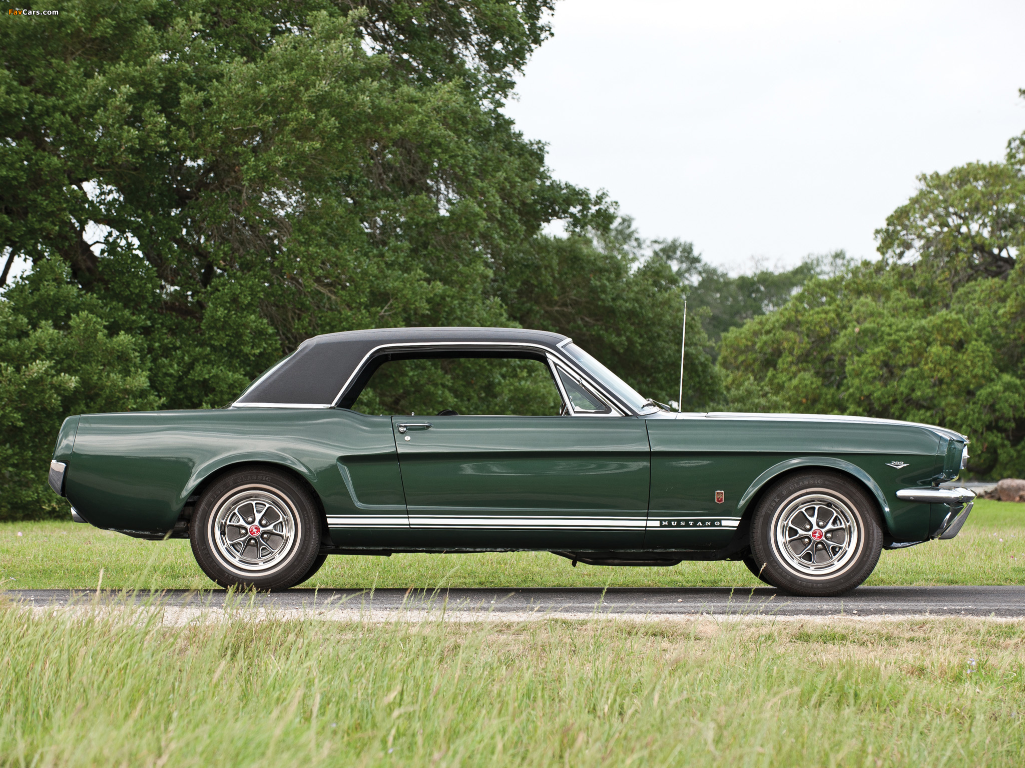 Photos of Mustang GT Hardtop 1966 (2048 x 1536)
