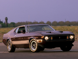 Pictures of Mustang Mach 1 1973
