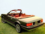 Images of Mustang Convertible by American Convertible Corporation 1980