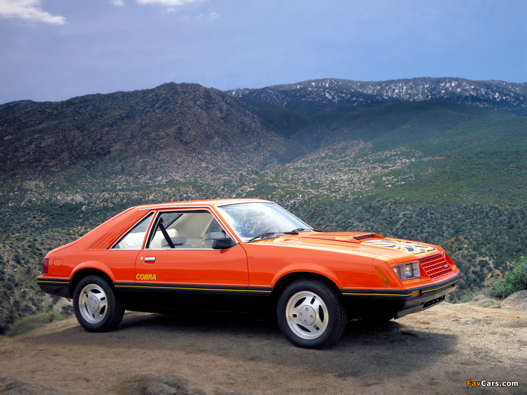Images of Mustang Cobra 1981–82 (1024 x 768)