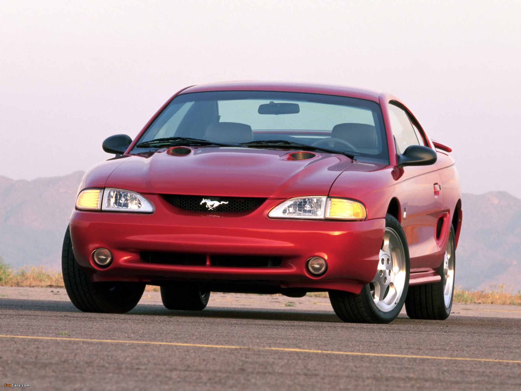 Images of Mustang SVT Cobra Coupe 1996–98 (2048 x 1536)