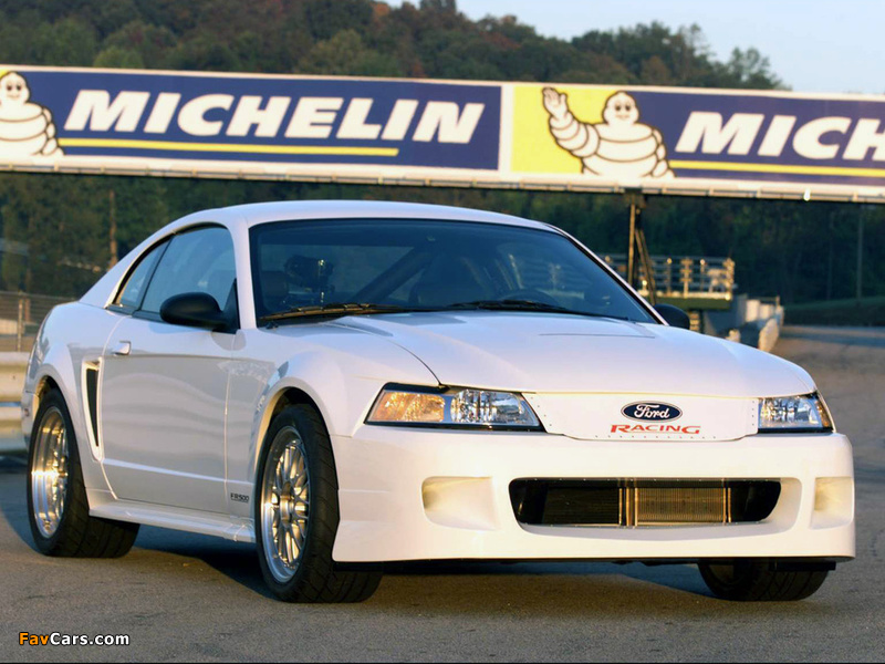Images of Mustang FR500 1999 (800 x 600)