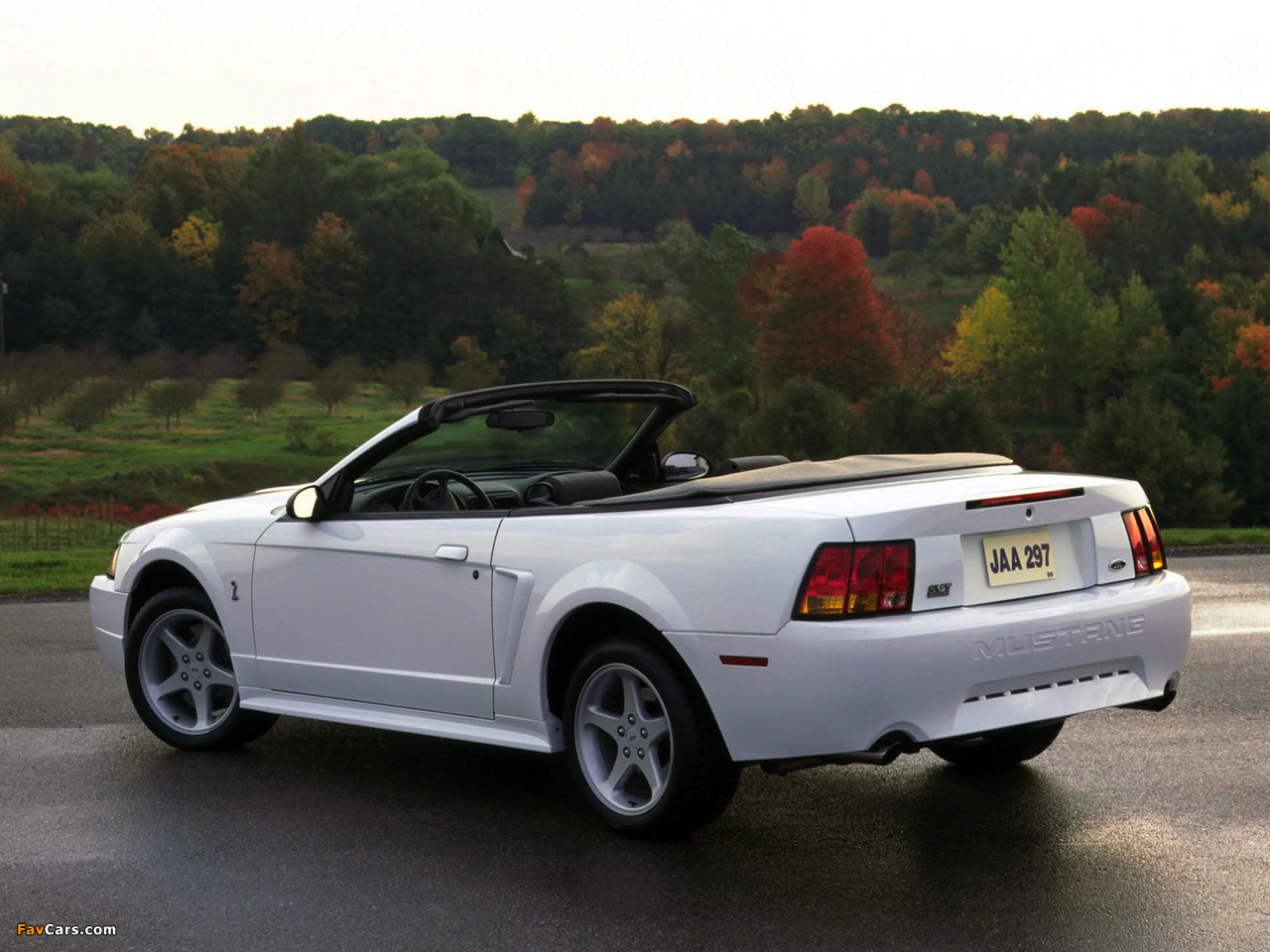 Images of Mustang SVT Cobra Convertible 1999–2002 (1280 x 960)