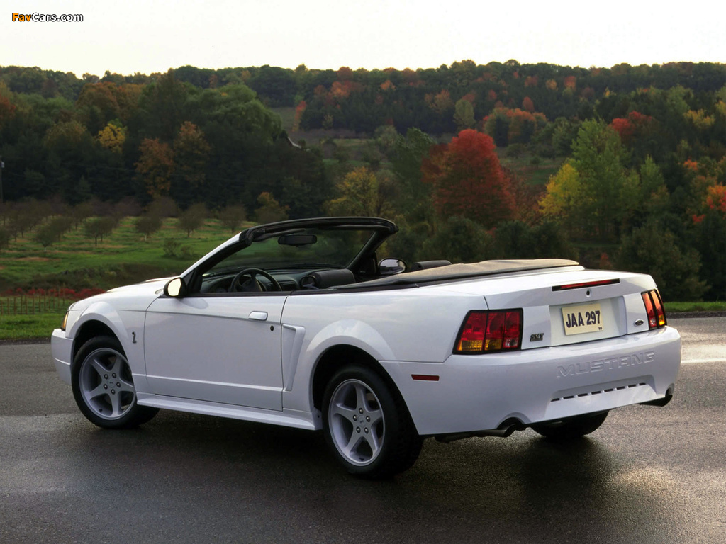 Images of Mustang SVT Cobra Convertible 1999–2002 (1024 x 768)
